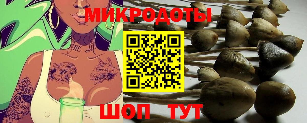 Галлюциногенные грибы мицелий Южноуральск